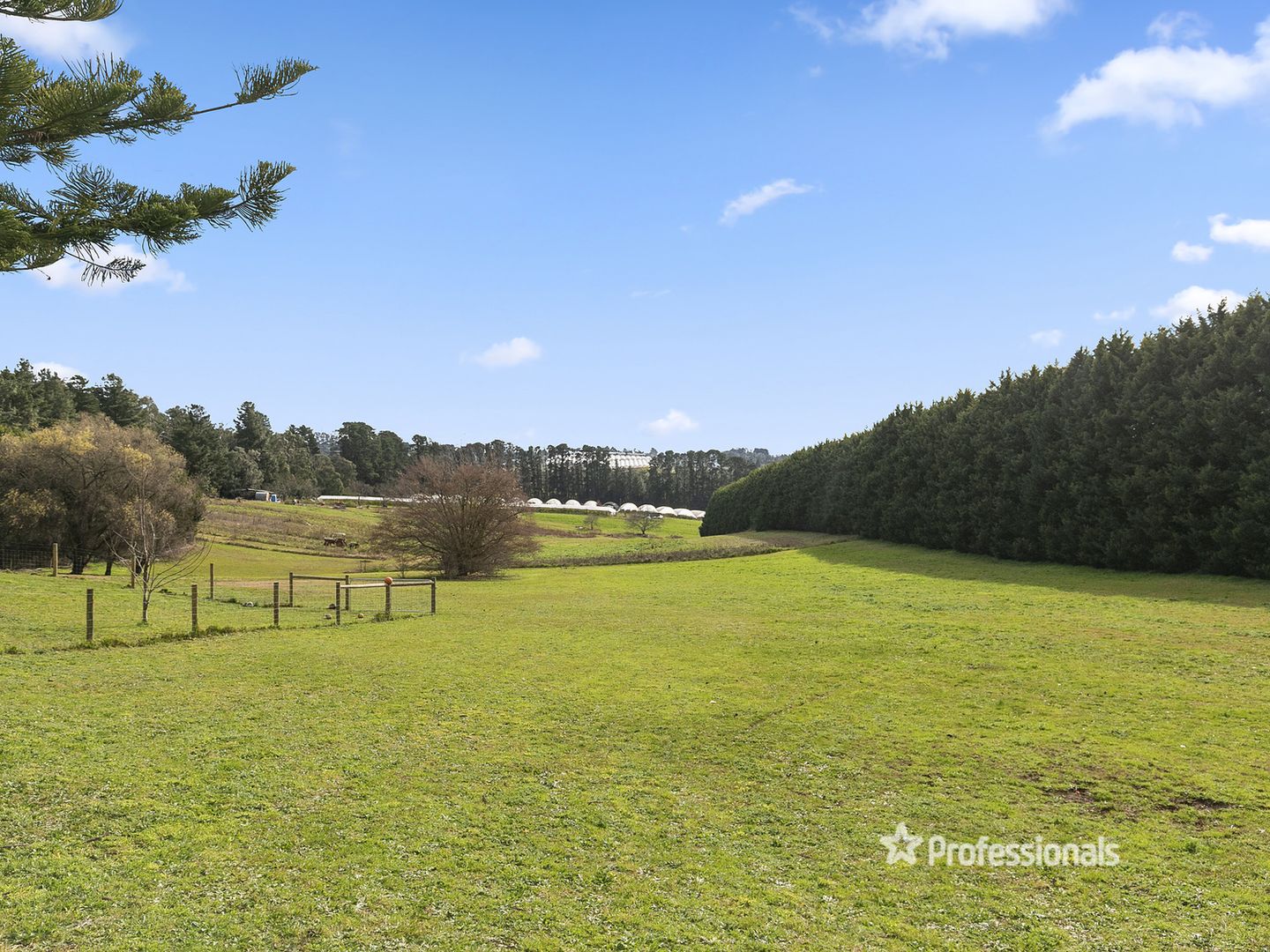 175 Graham Road, Wandin East VIC 3139, Image 2