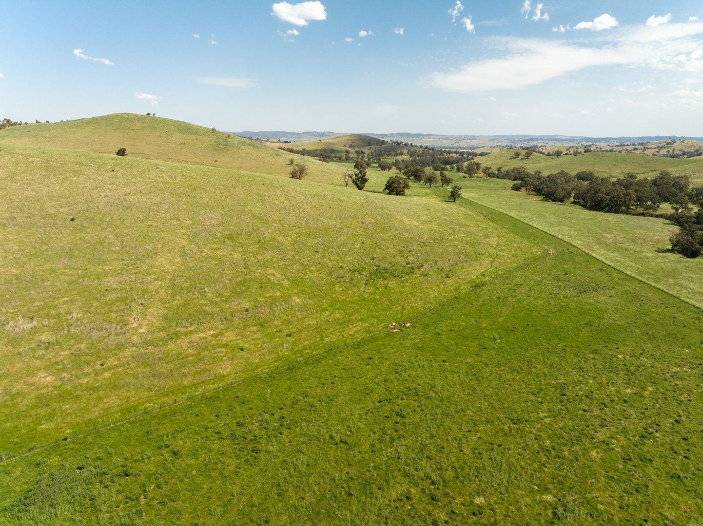 Rural in Oakhill Road, NANGUS NSW, 2722