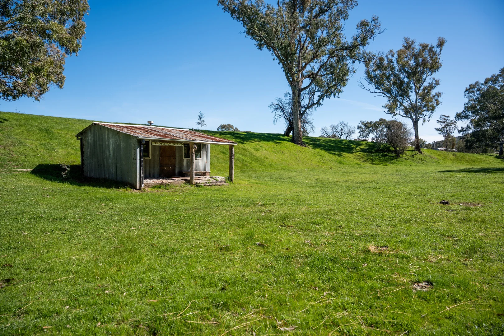 Image 13