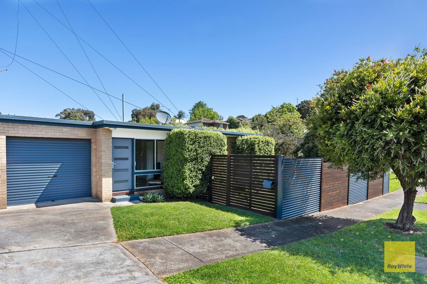 3/42 Sanglen Terrace, Belmont VIC 3216, Image 0