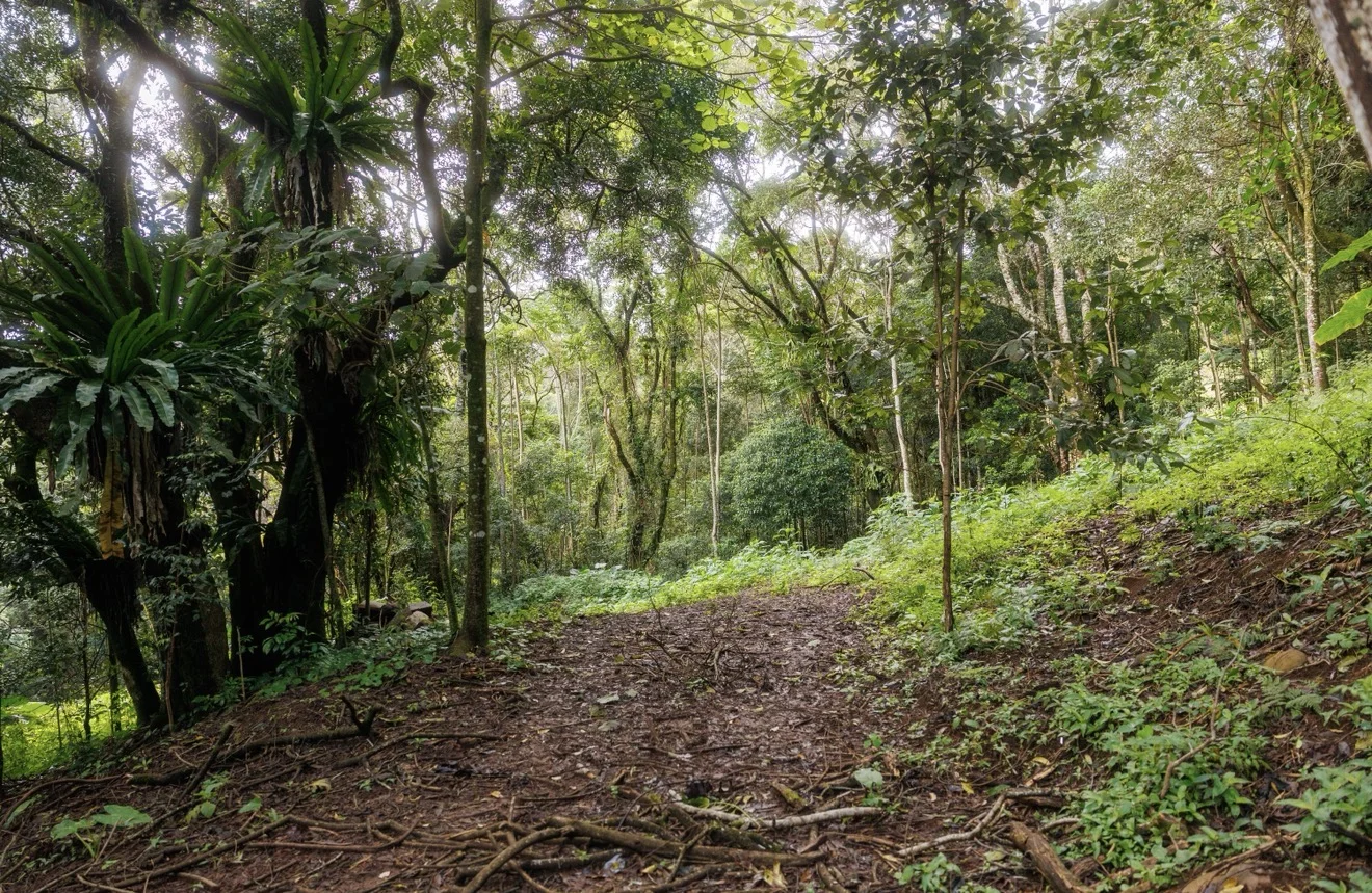 Image 15