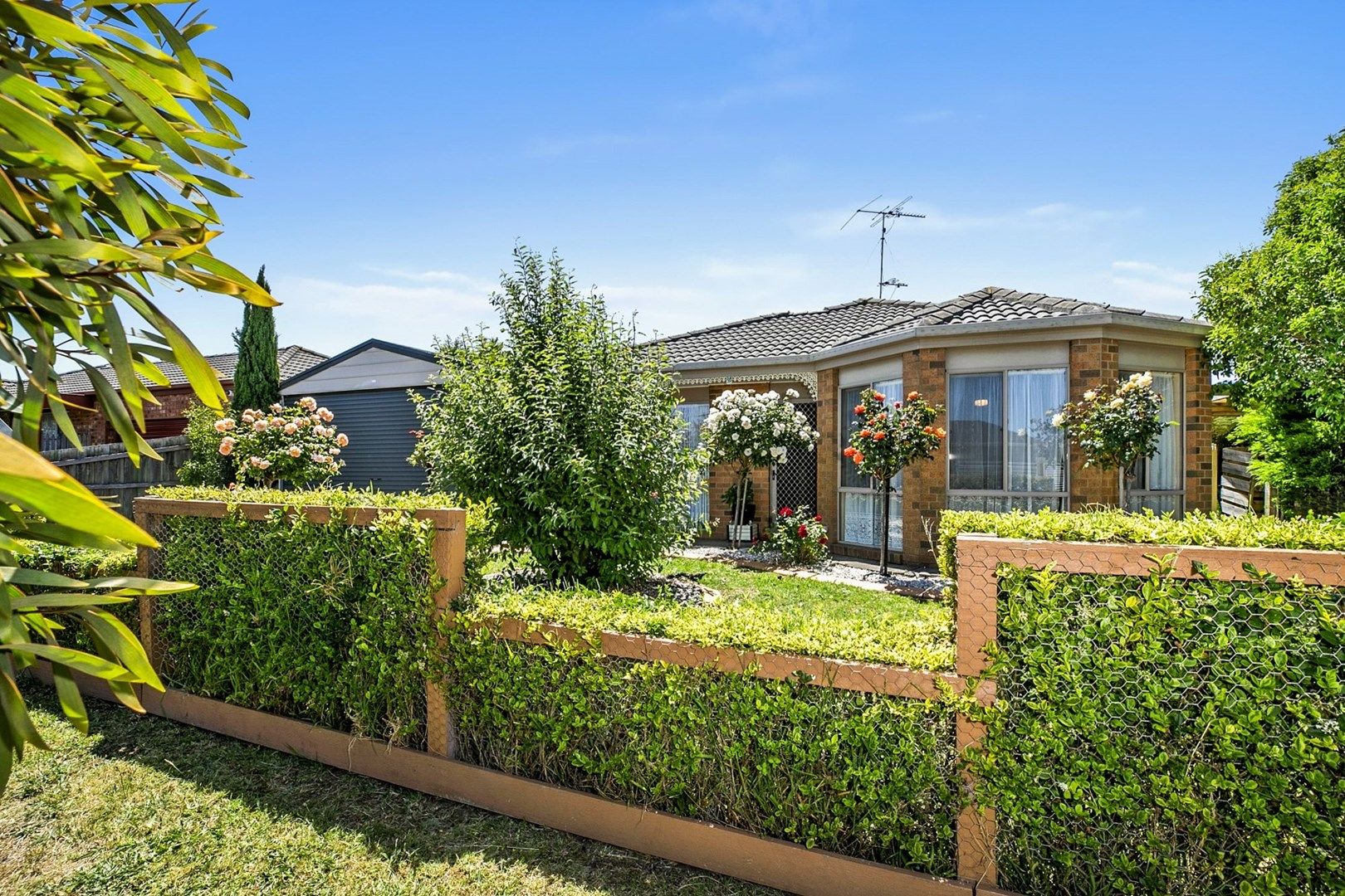 6 Arlington Crescent, Ocean Grove VIC 3226, Image 0