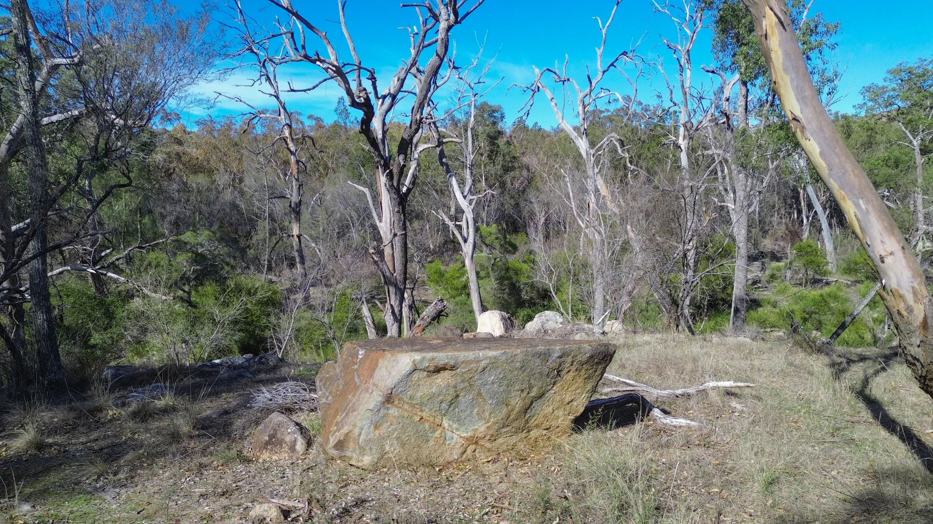 Image 14