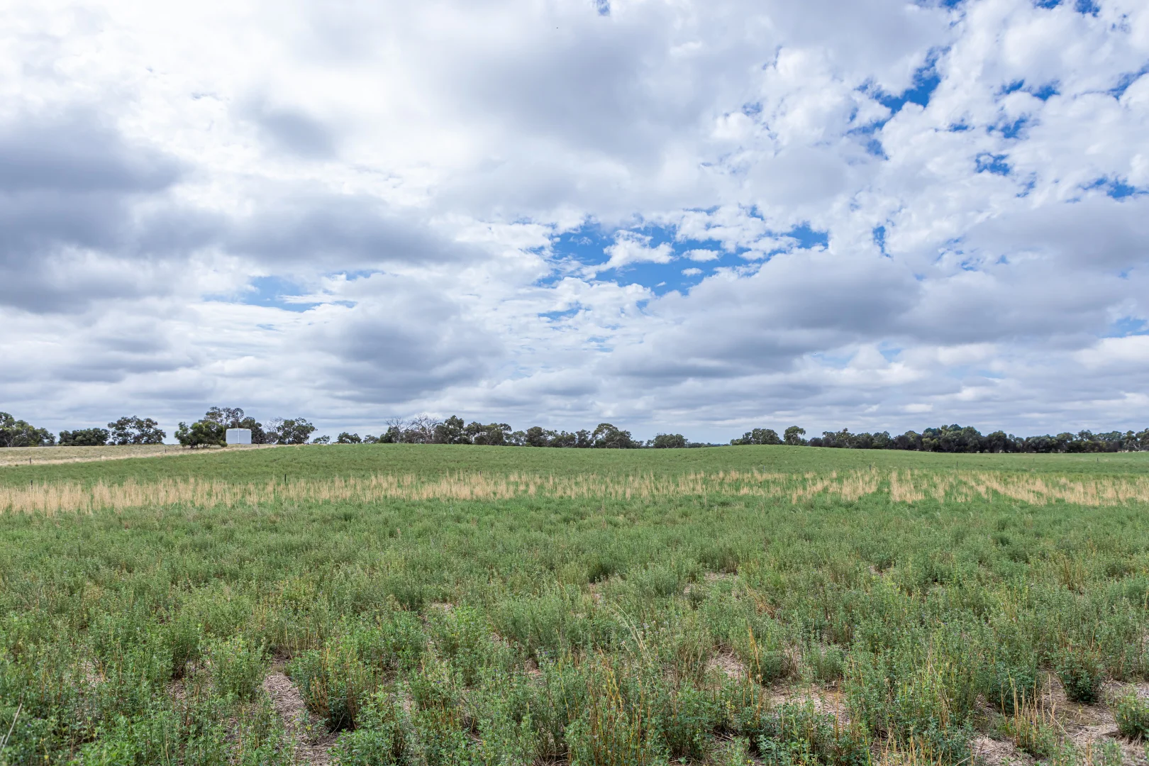 Additional image 19 of 3258 Riddoch Highway, Willalooka SA 5267