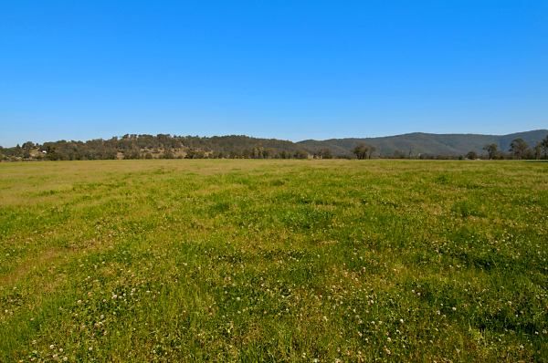 Picture of Lot 23    , 54 Lomandra Circuit, PATERSON NSW 2421