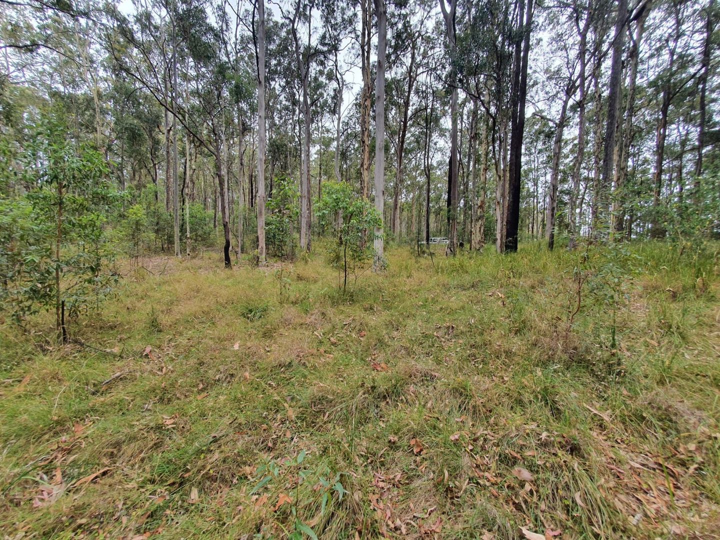 2 Bibaringa Road, Nymboida NSW 2460, Image 2