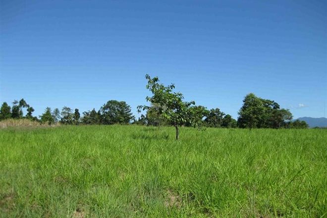 Picture of SILKY OAK QLD 4854