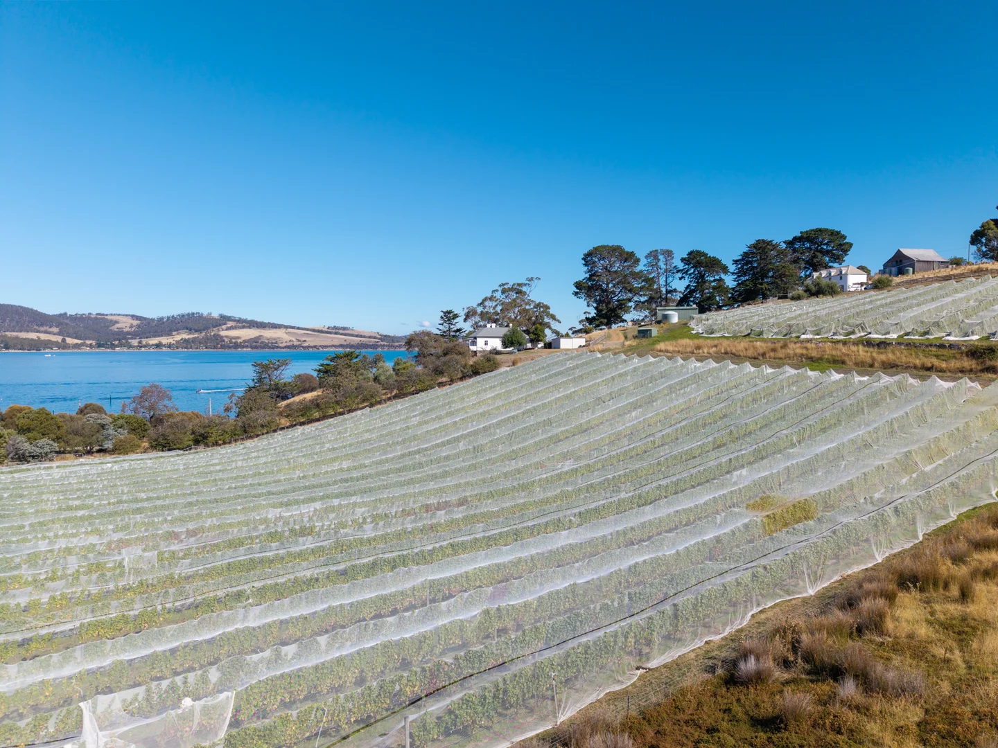 Additional image 21 of 441 Tinderbox Road, Tinderbox TAS 7054