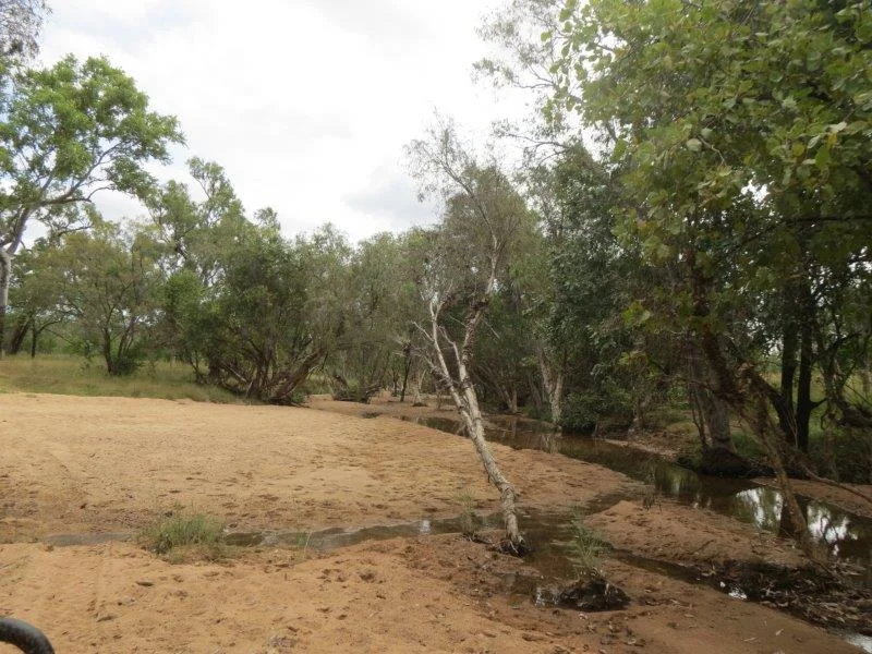 Image 41