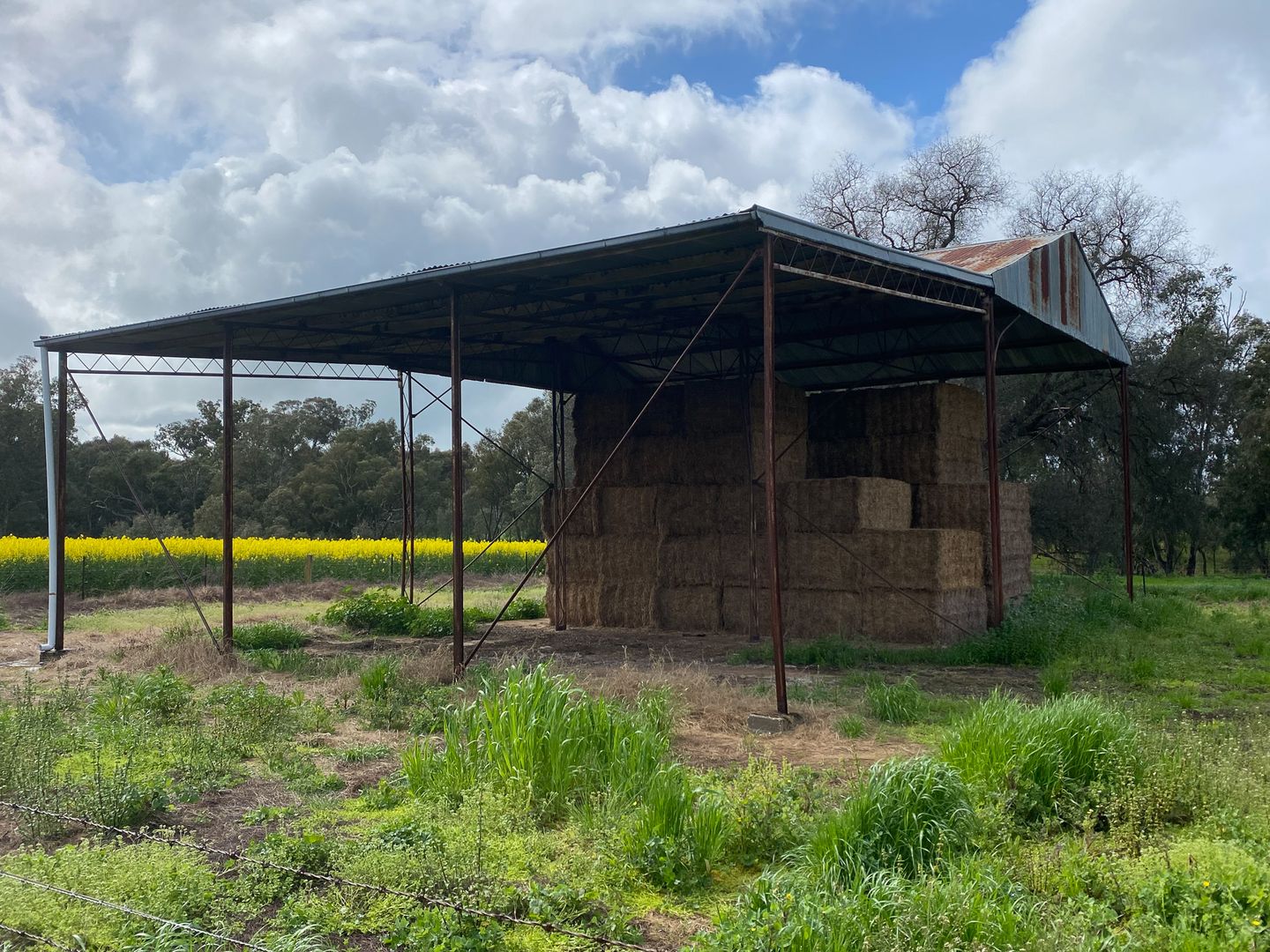 Cleveland HentyWalla Road, Culcairn NSW 2660 House for Sale