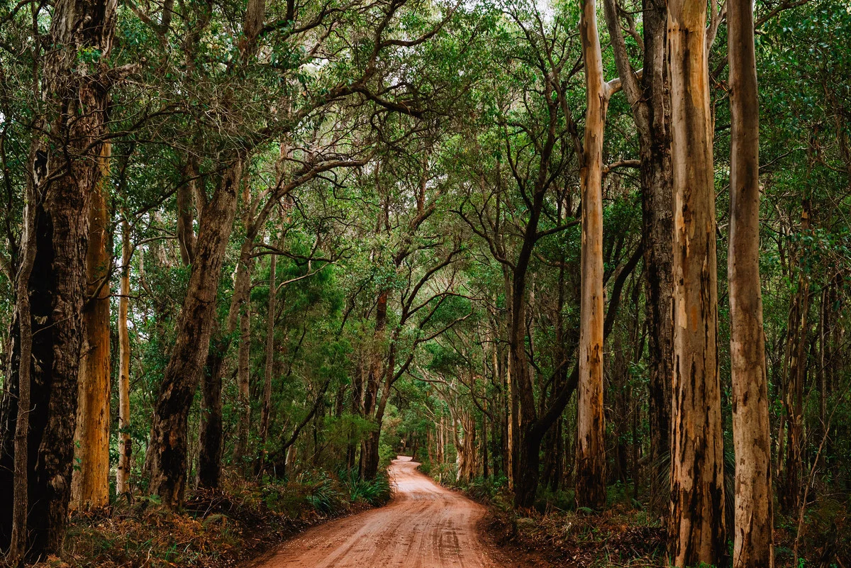 Additional image 17 of 700/102 Drummond Road, Forest Grove WA 6286