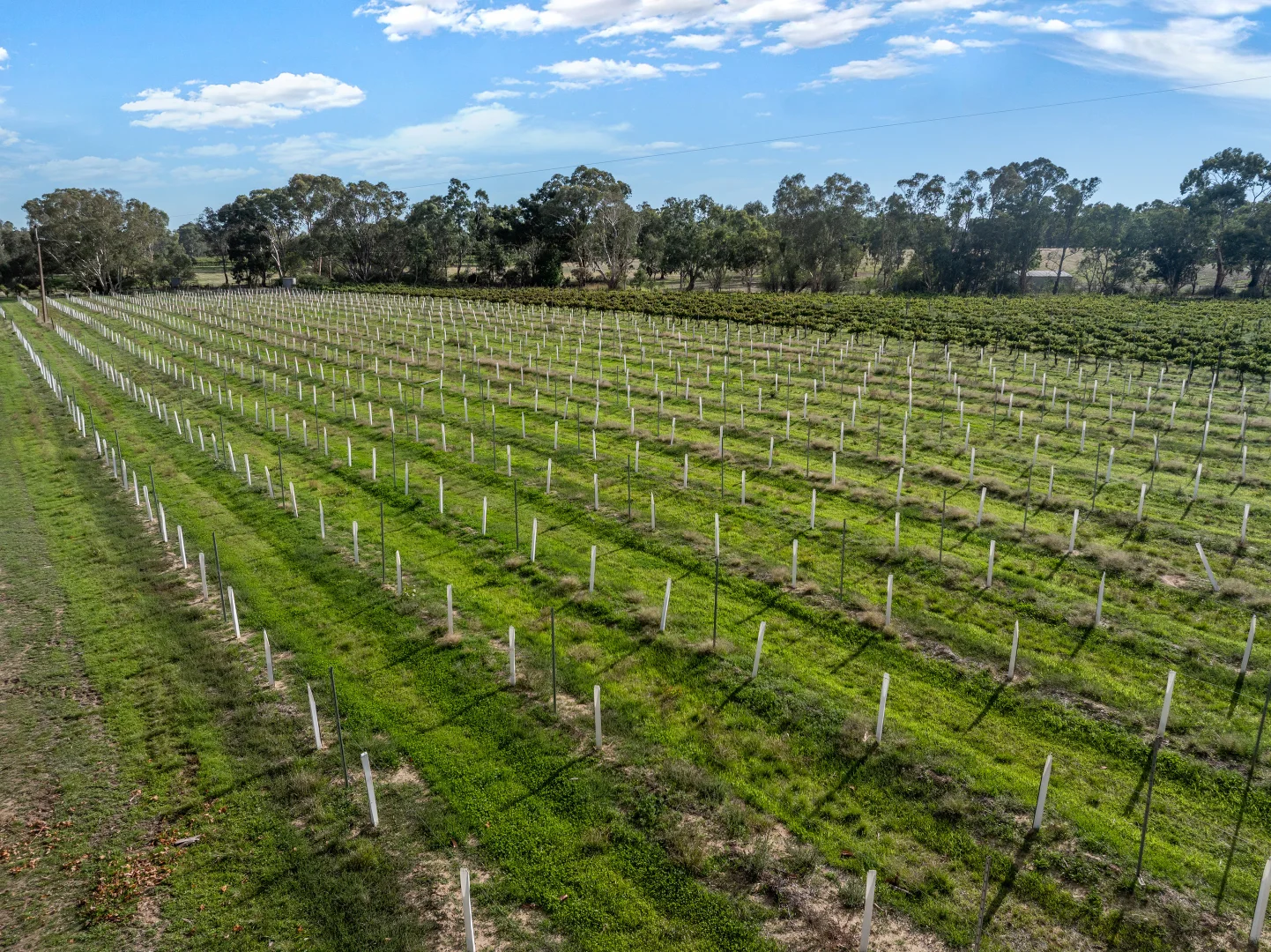Additional image 25 of 273 Polish Hill River Road, Polish Hill River SA 5453