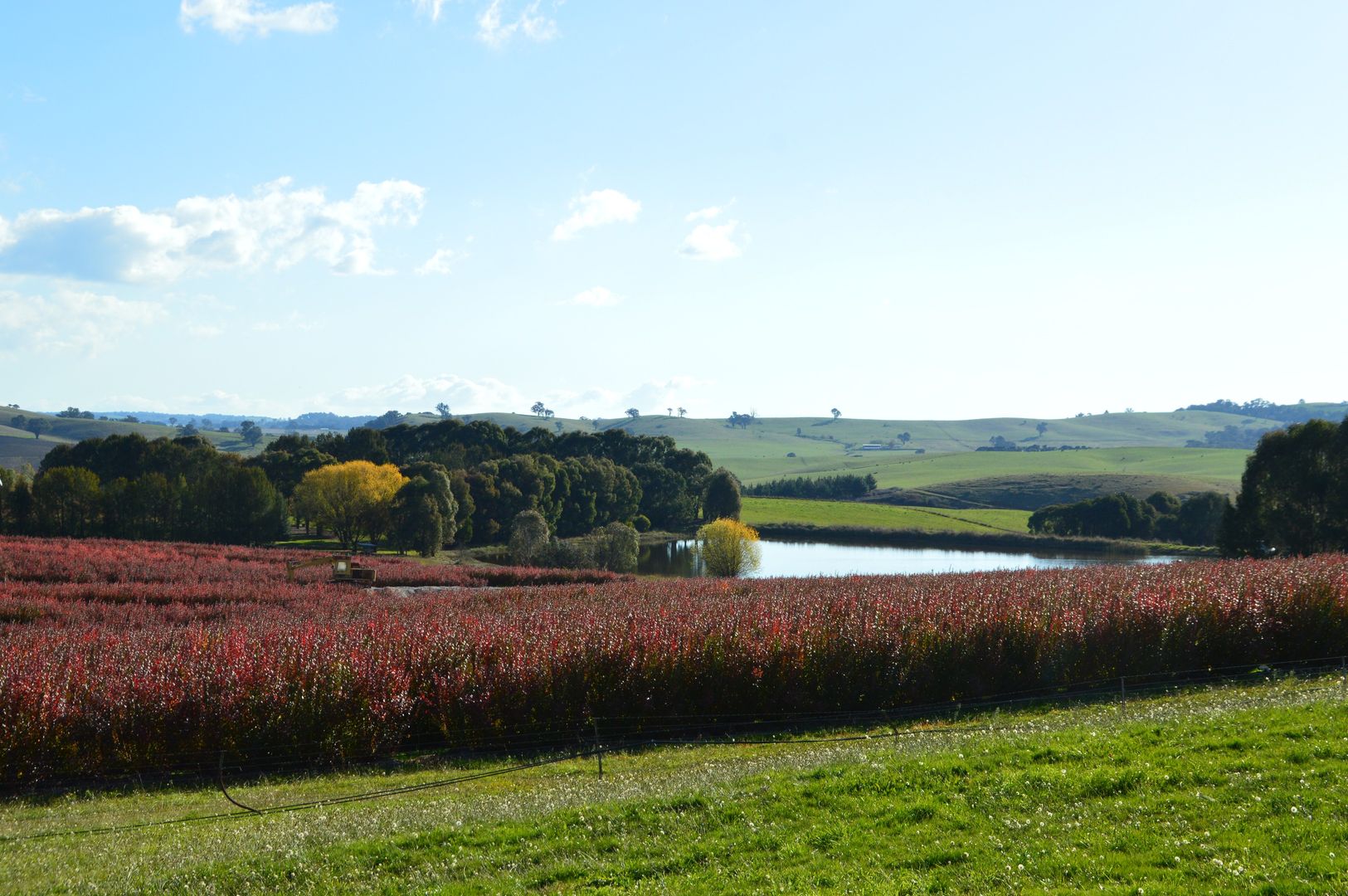 247 Tumbarumba Road, Tumbarumba NSW 2653 Specialist Farm for Sale