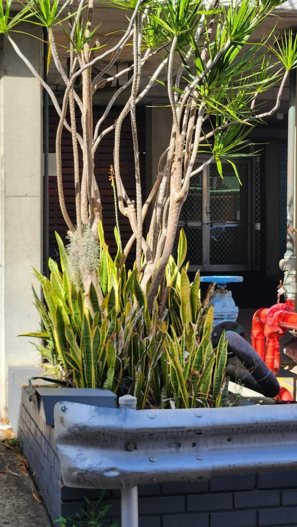 Additional image 10 of 18 Brown Street, Newcastle NSW 2300