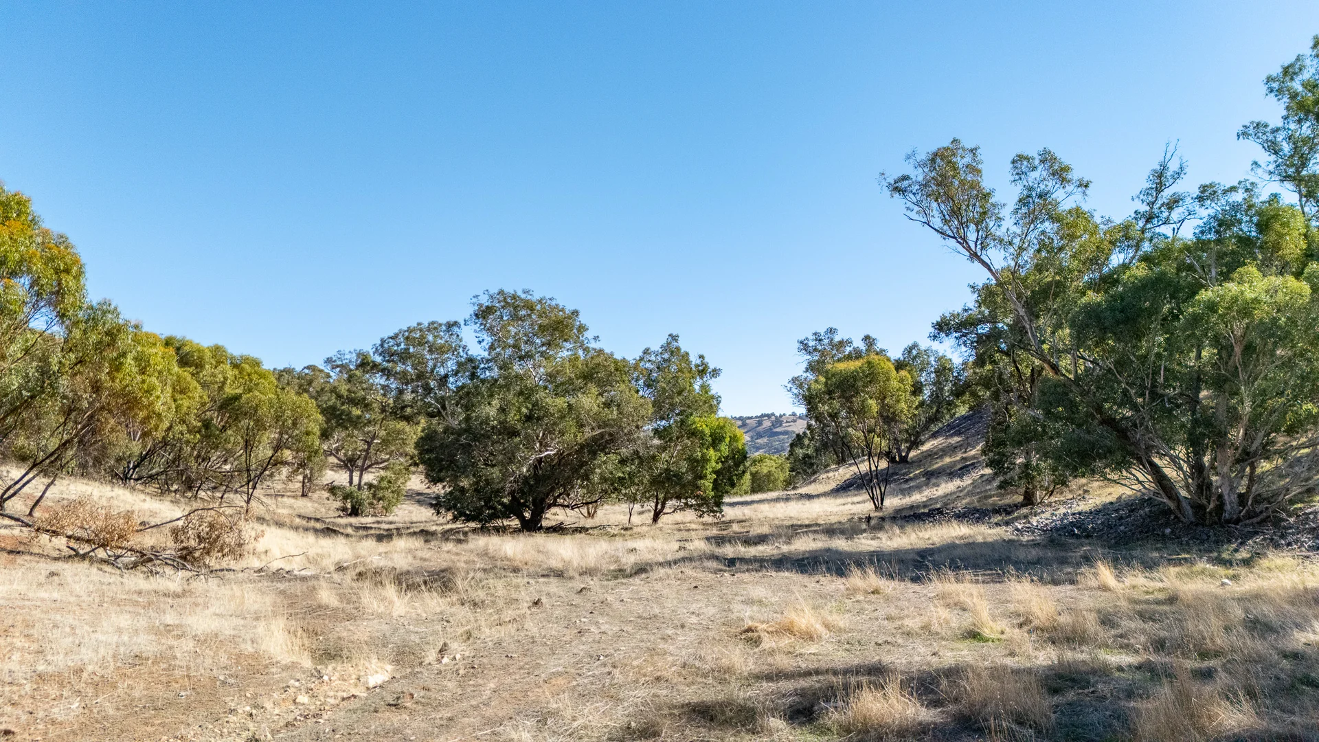 Additional image 5 of Toodyay WA 6566