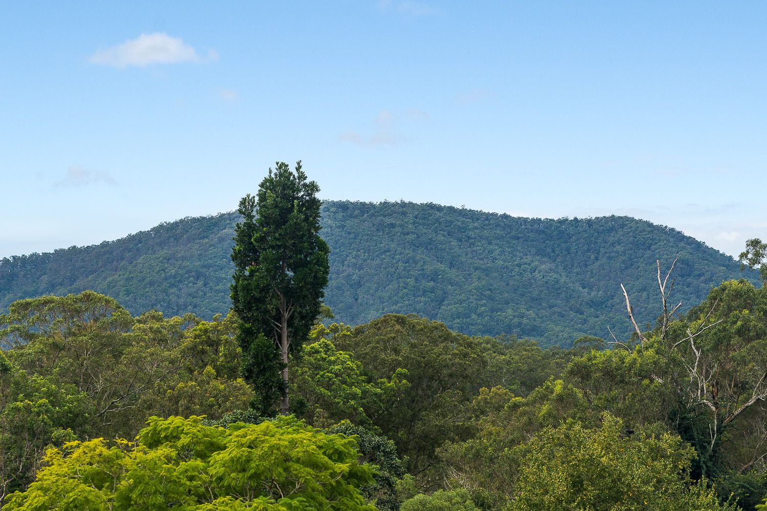 1 Greenwood Crescent, Samford Valley QLD 4520, Image 1