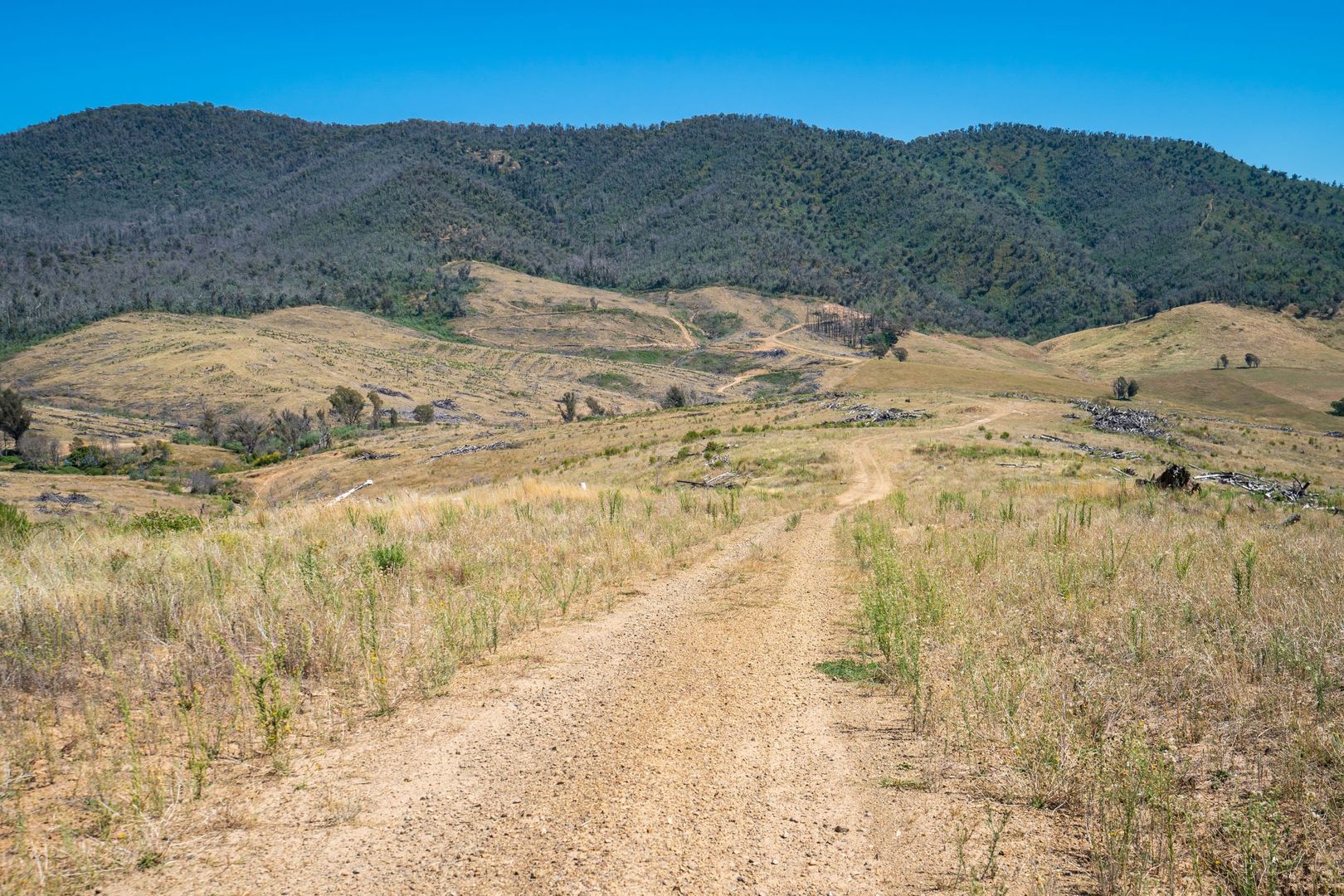 Price Hill Lane, Cudgewa VIC 3705 House for Sale Domain