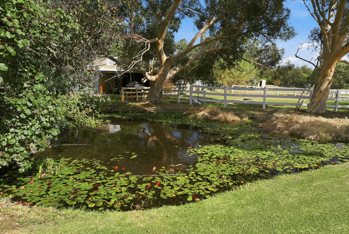 Image 22