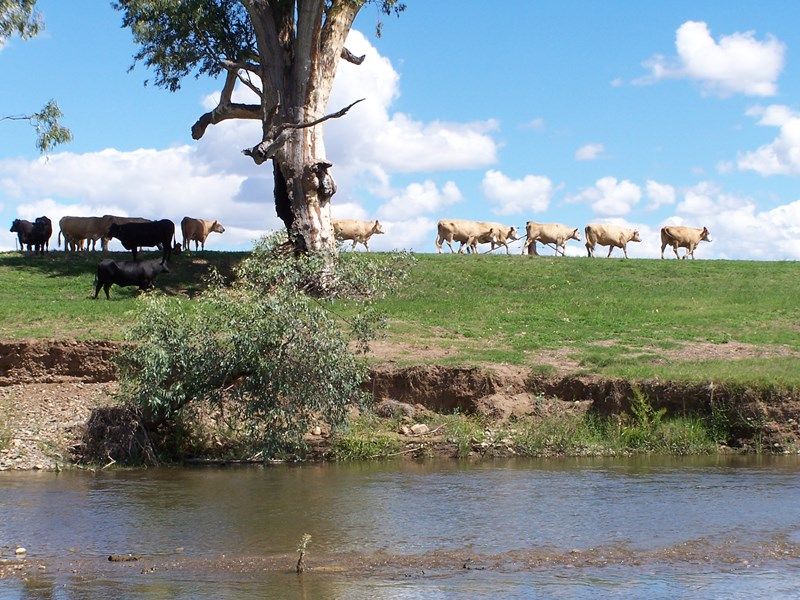 171 Lower Somerton Road, Attunga Property History & Address Research Domain