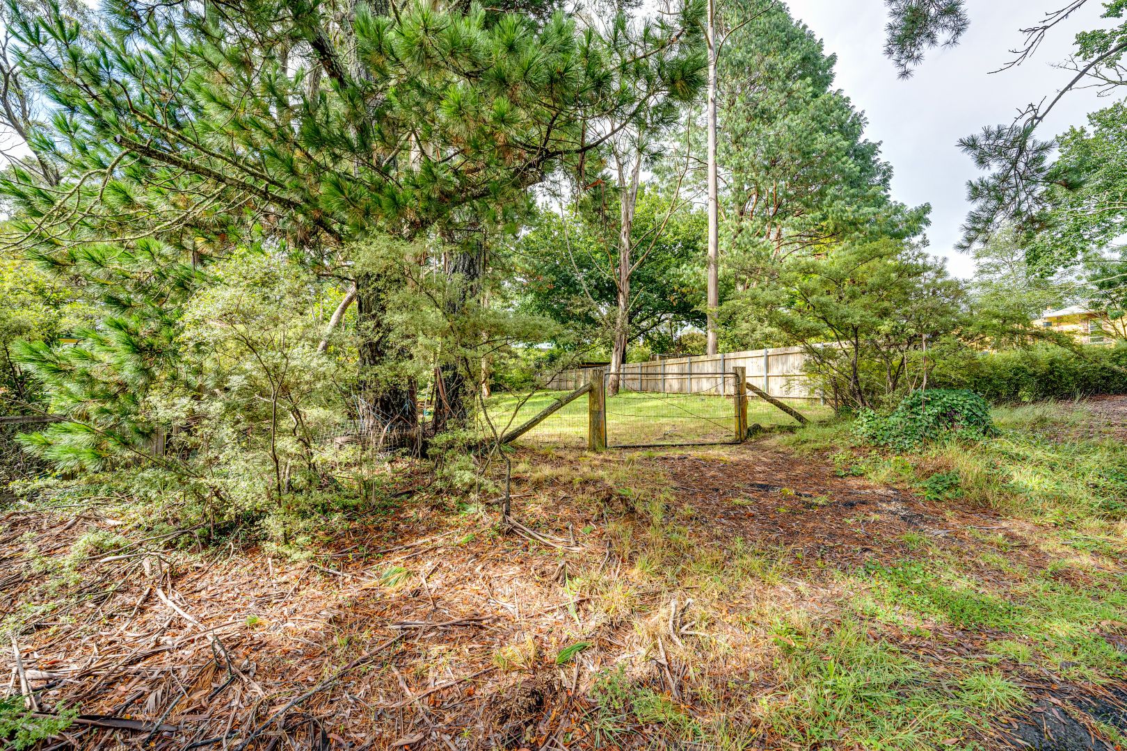 15 St Albans Road, Medlow Bath NSW 2780, Image 2