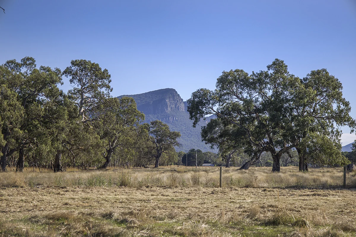 Bellicourt Road, Dunkeld VIC 3294