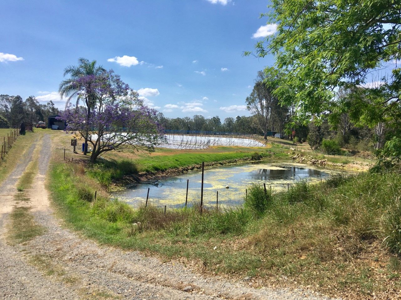 South Maclean QLD 4280 House for Sale 990,000 Domain