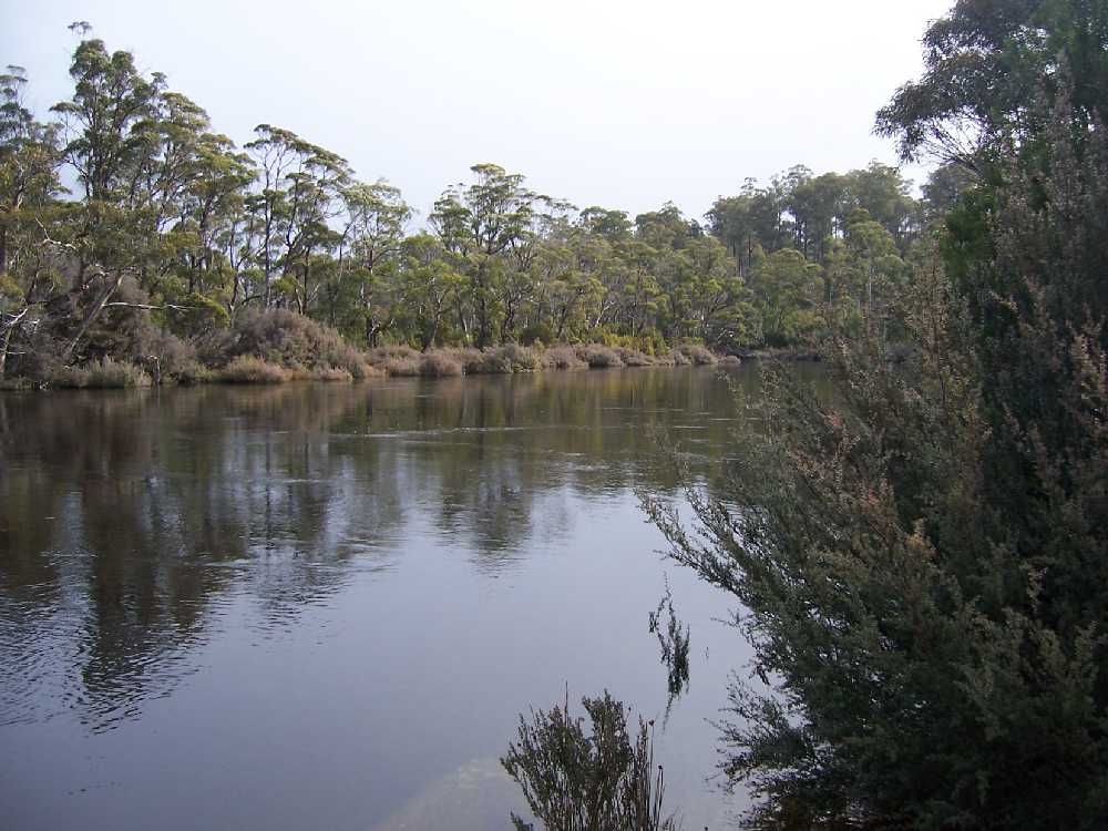 Lot 2 Lyell Highway, DERWENT BRIDGE TAS 7140, Image 2