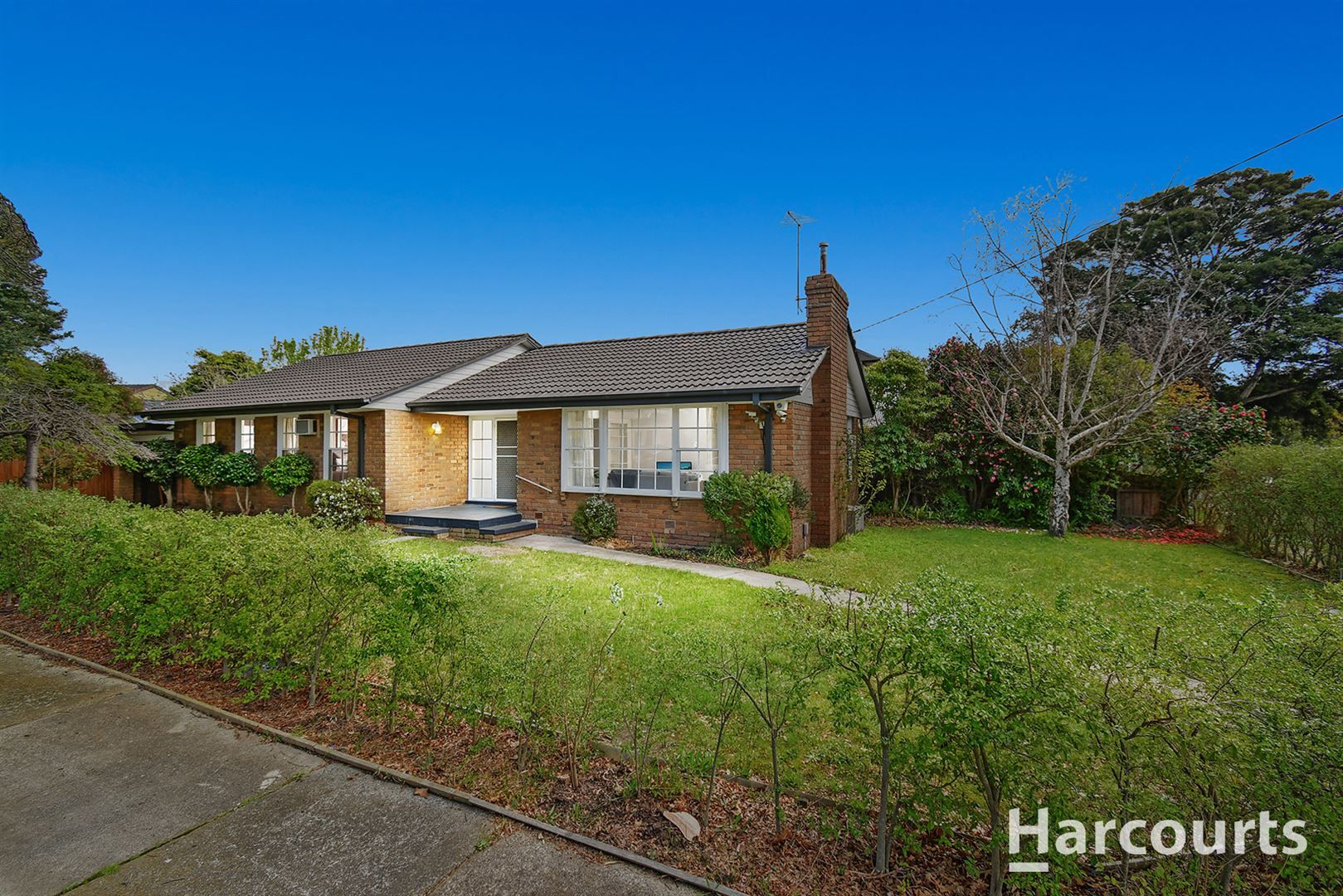 44 Carinya Road, Vermont VIC 3133, Image 0