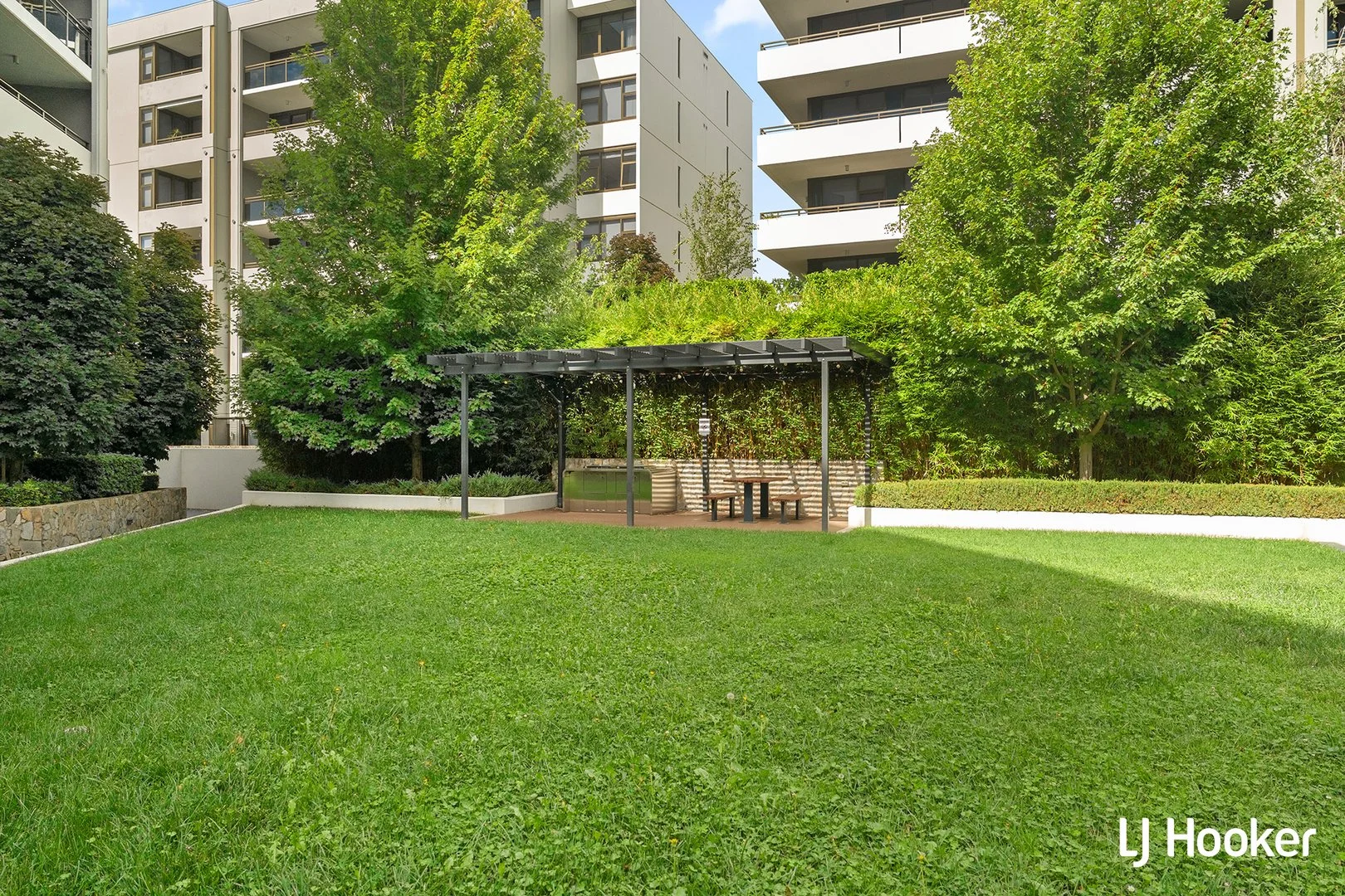 Image 12