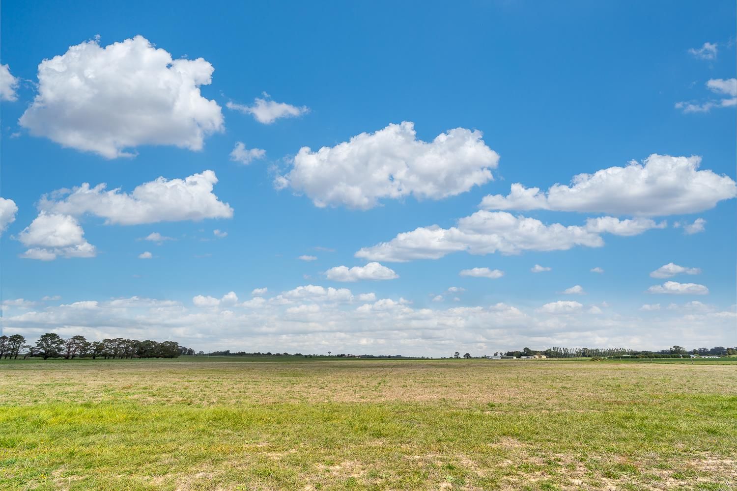 Lot 1/741 Forest Reefs Road, Forest Reefs NSW 2798, Image 2