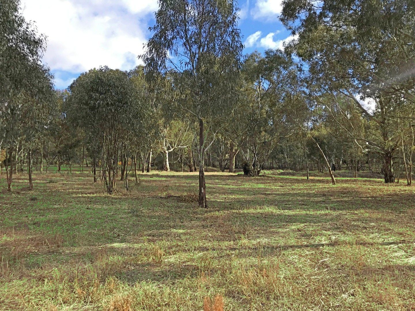 Lot Lot/111 & 112 Phoenix Street, Armagh SA 5453, Image 0