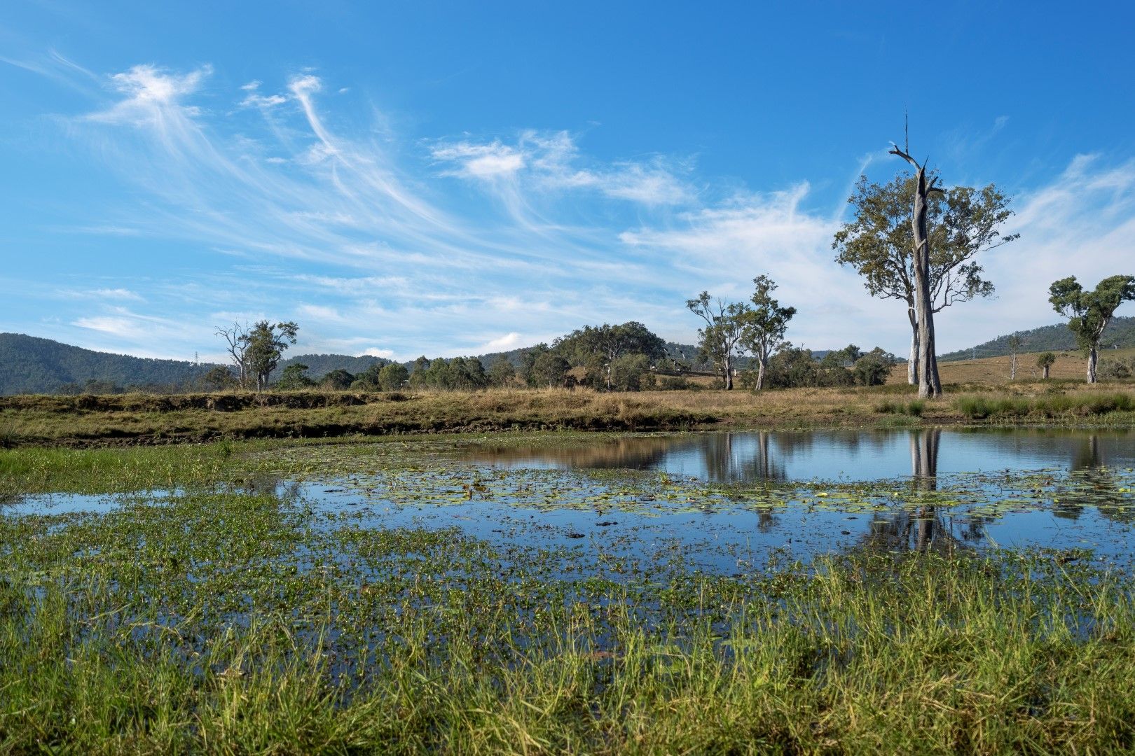 138-164 Wards Road, South Ripley QLD 4306, Image 2