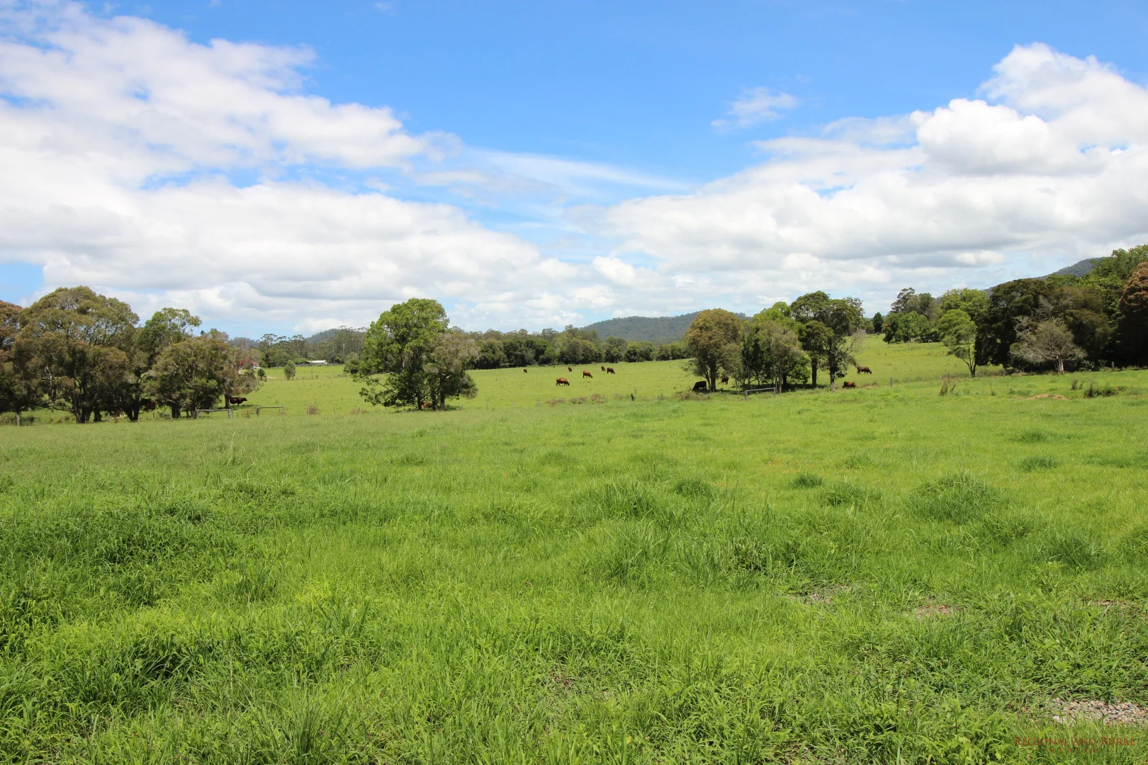 Additional image 10 of 47-49 Weismantle Street, Wauchope NSW 2446