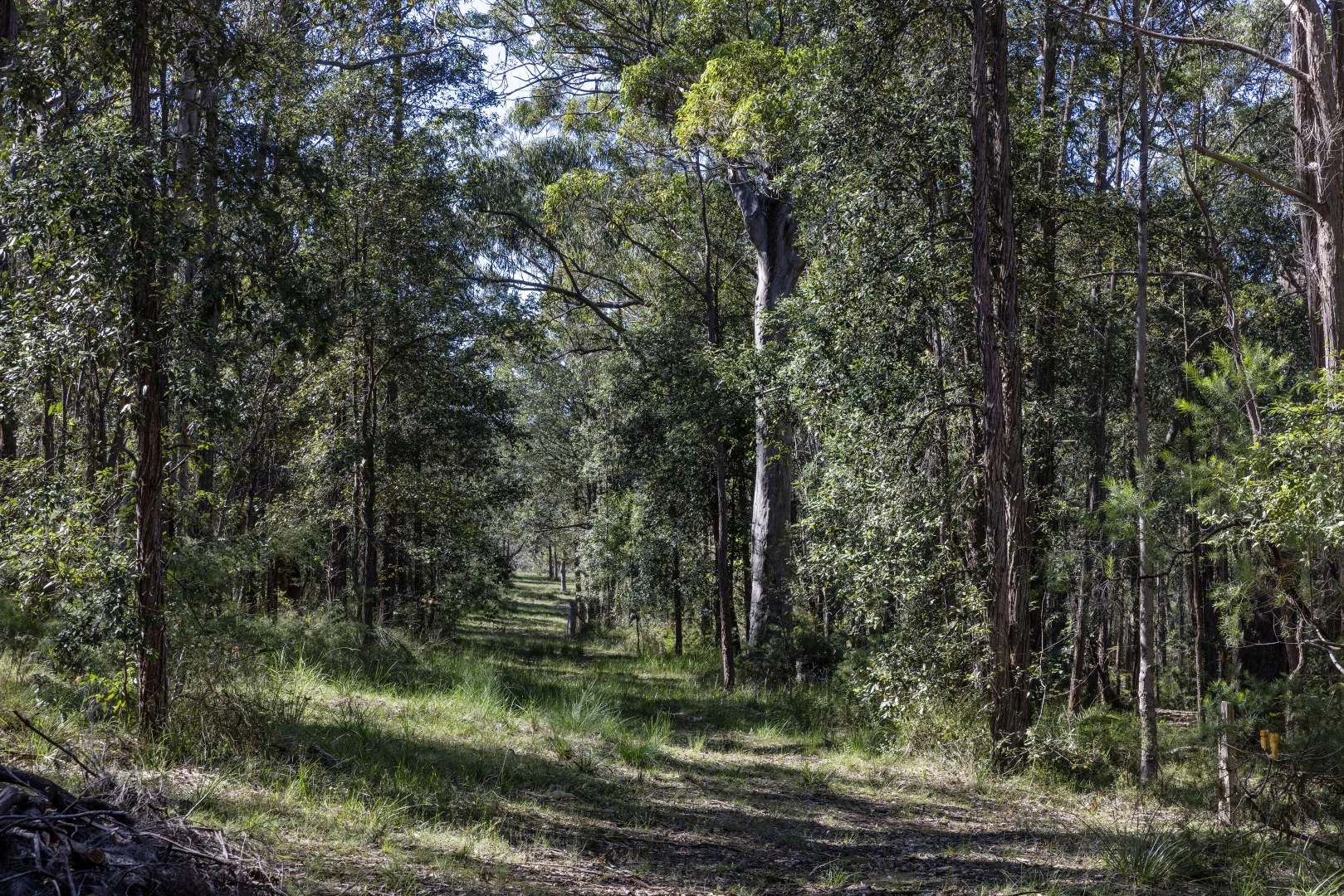 Image 21