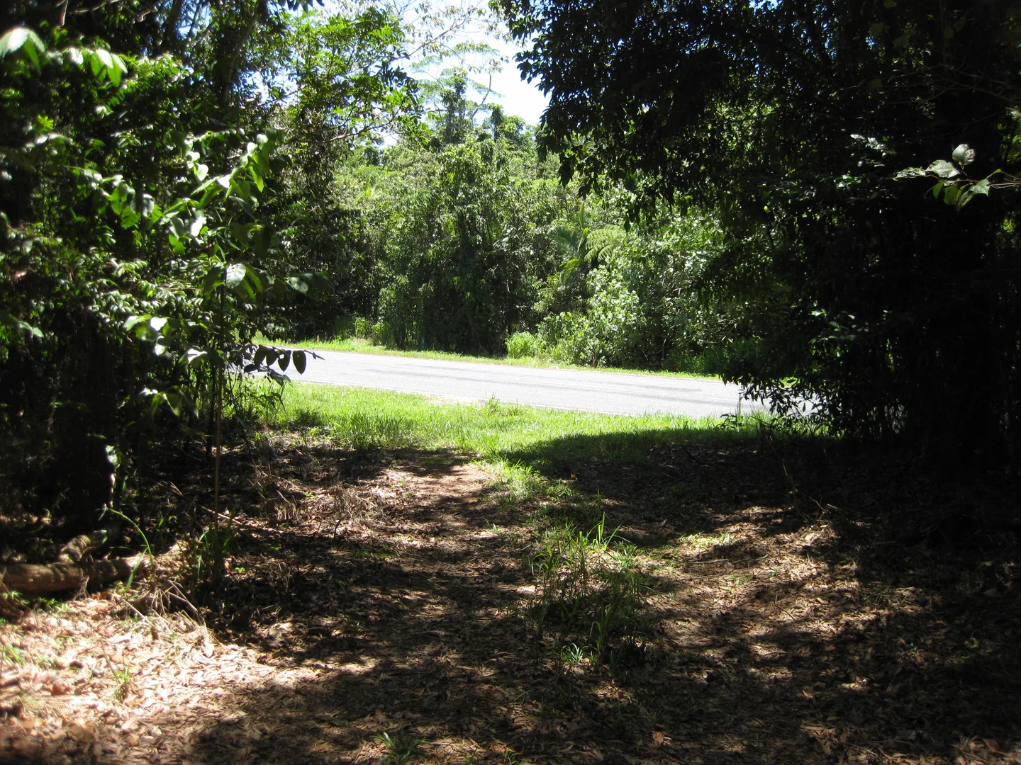Image 9