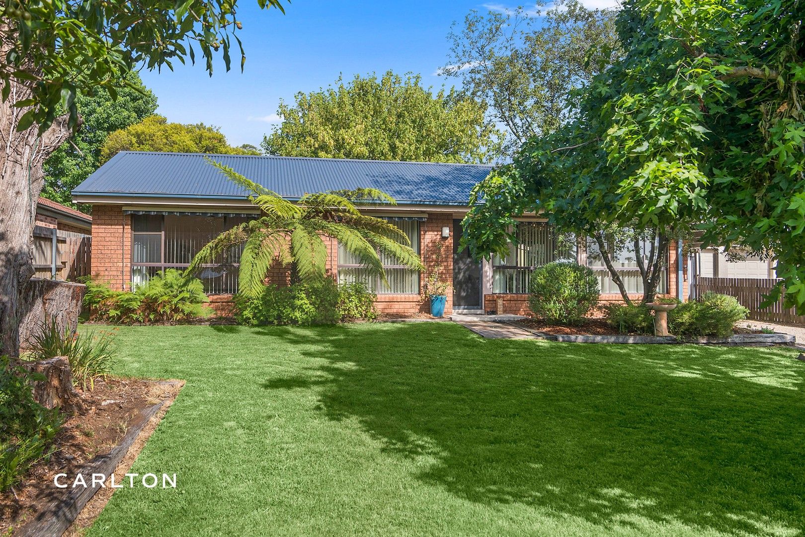 6 Colo Road, Colo Vale NSW 2575, Image 1