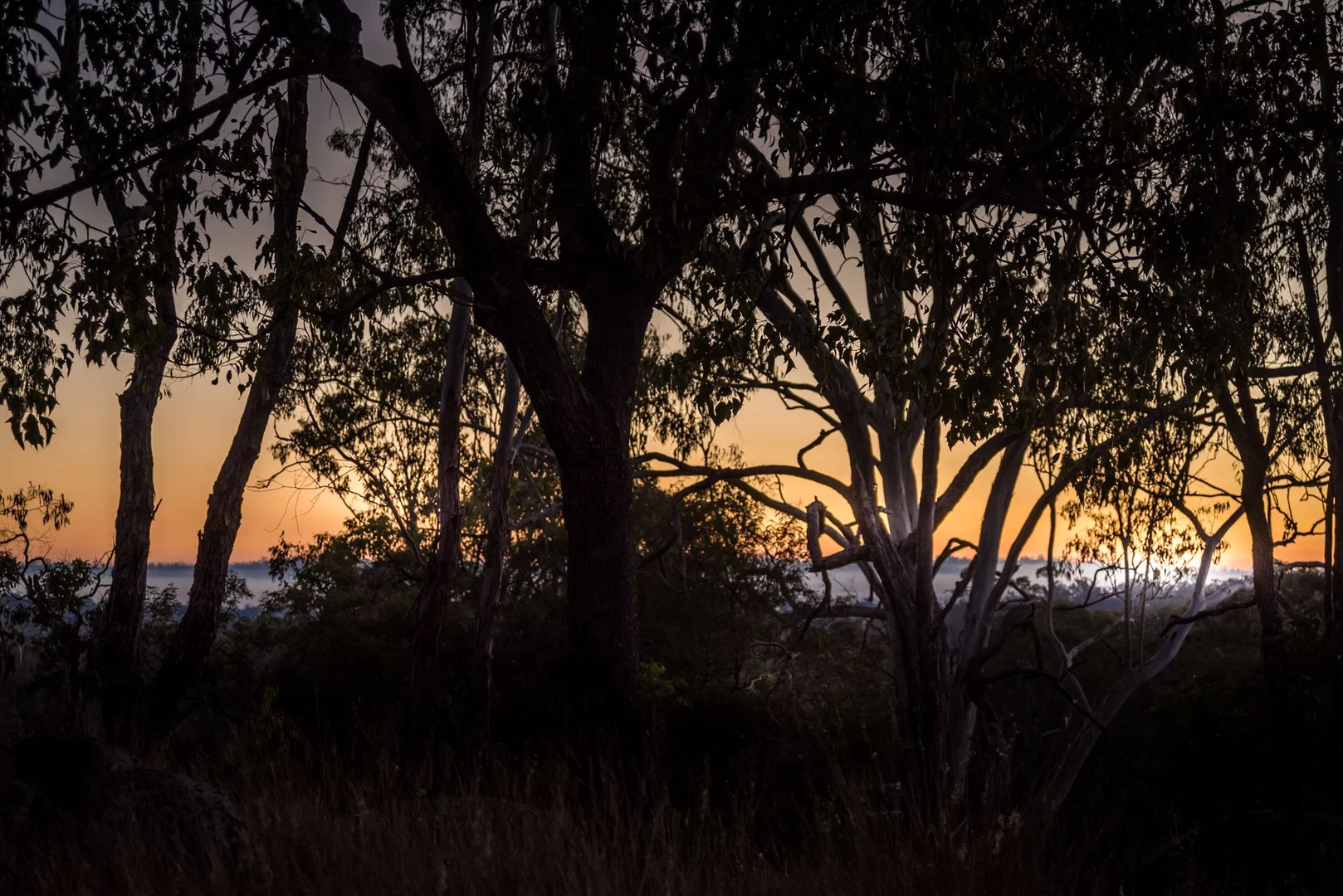 Additional image 33 of Maidenwell QLD 4615