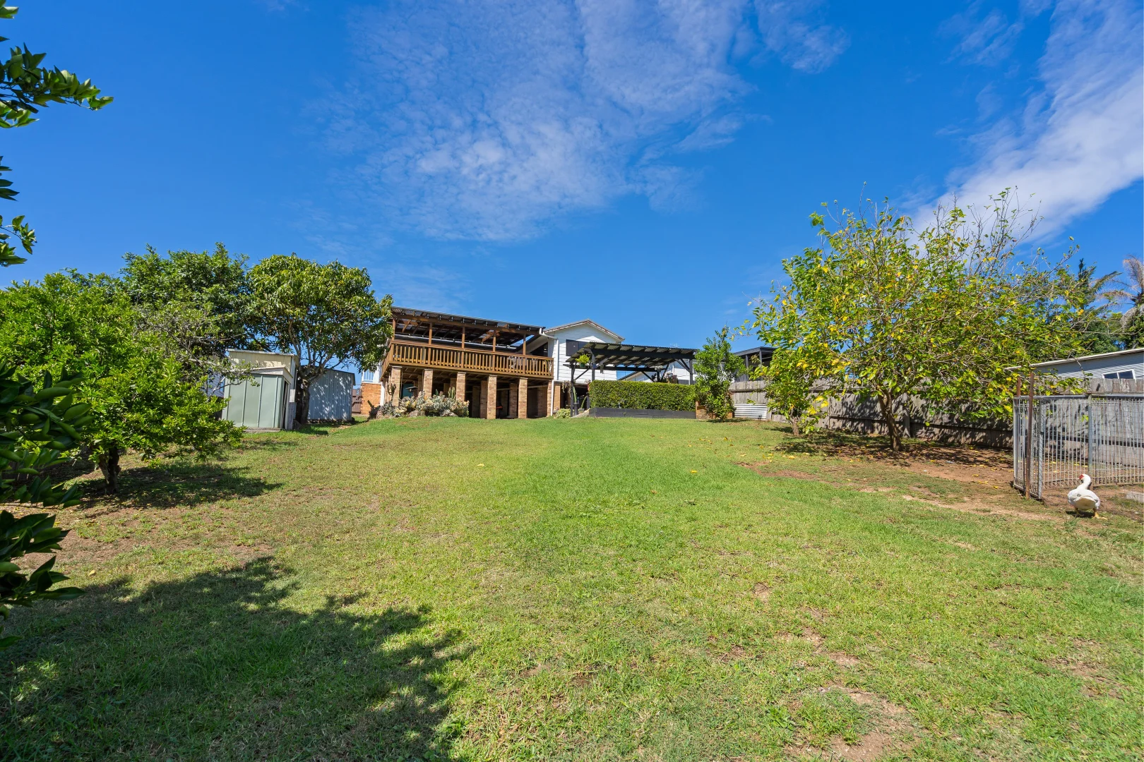 Image 21