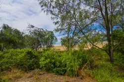 Additional image 13 of 9 Pitt Street, Blacks Beach QLD 4740