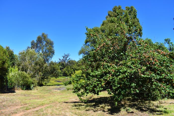 2 North Street, Nannup WA 6275, Image 1