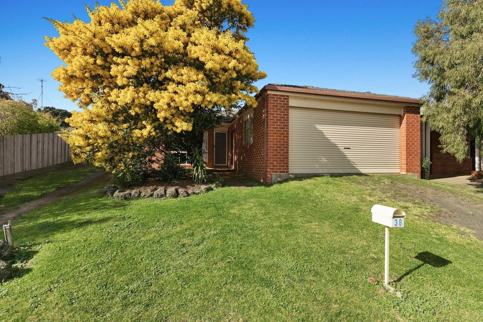 38 Belvedere Terrace, Ocean Grove VIC 3226, Image 0