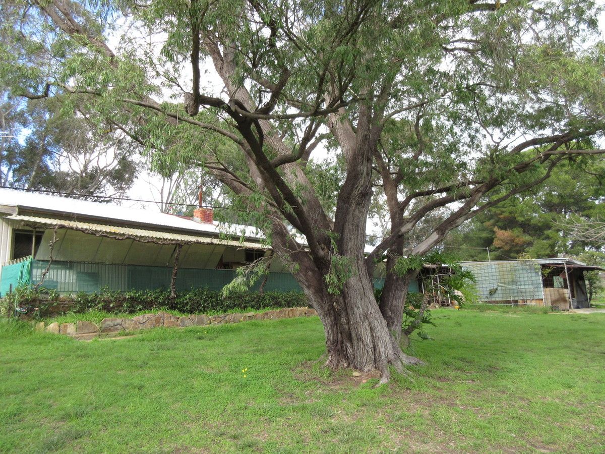 57 Douglas Gully Road, Mclaren Flat SA 5171, Image 1