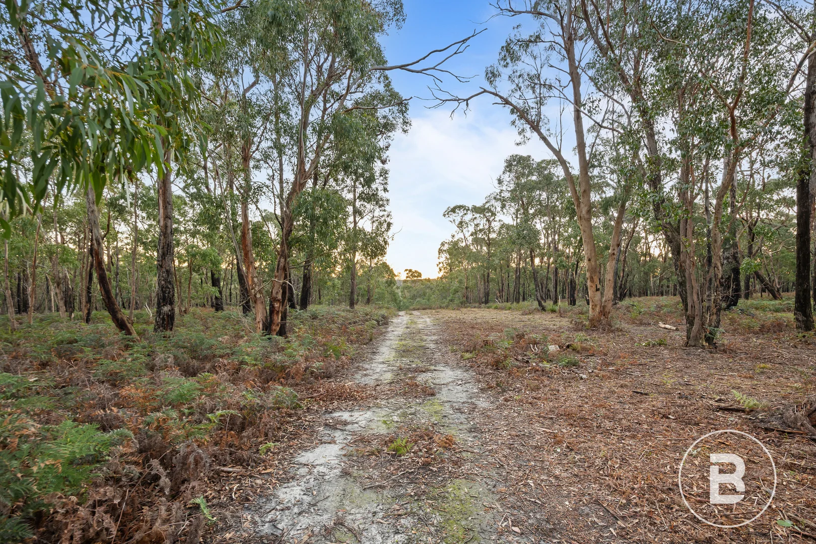Image 10