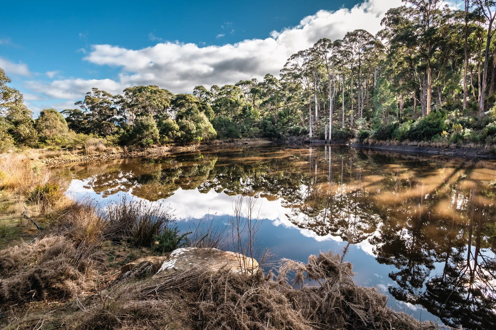 Additional image 13 of 441 Tinderbox Road, Tinderbox TAS 7054