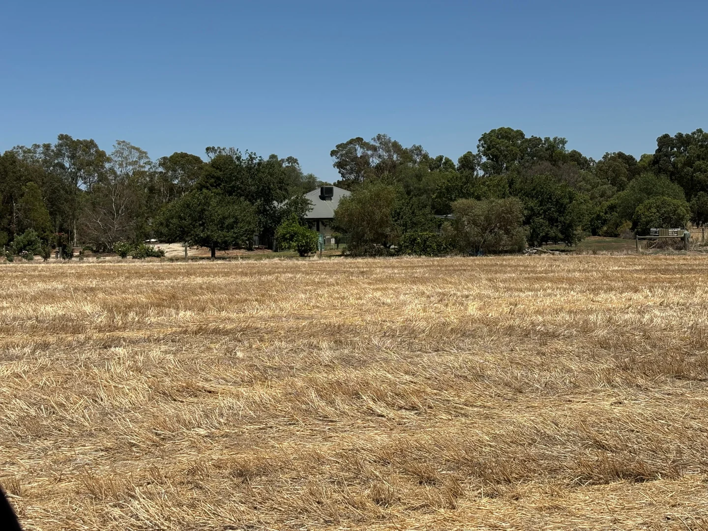 Image 14