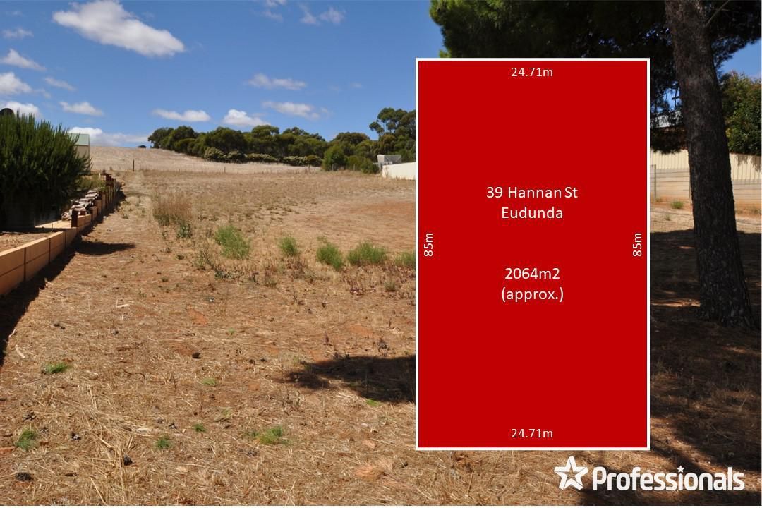 39 Hannan Street, Eudunda SA 5374, Image 0