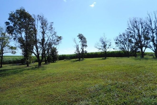 Picture of Lot 99 Rubyanna Road, RUBYANNA QLD 4670