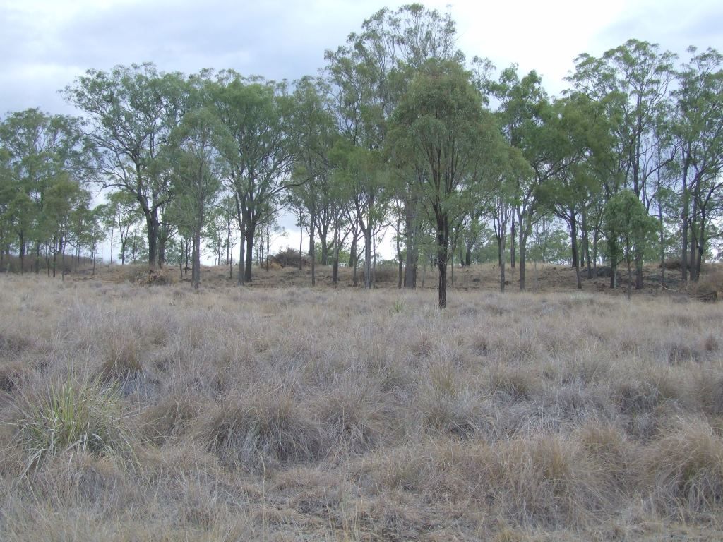 L33 Cooyar-Rangemore Road, Cooyar QLD 4402, Image 1