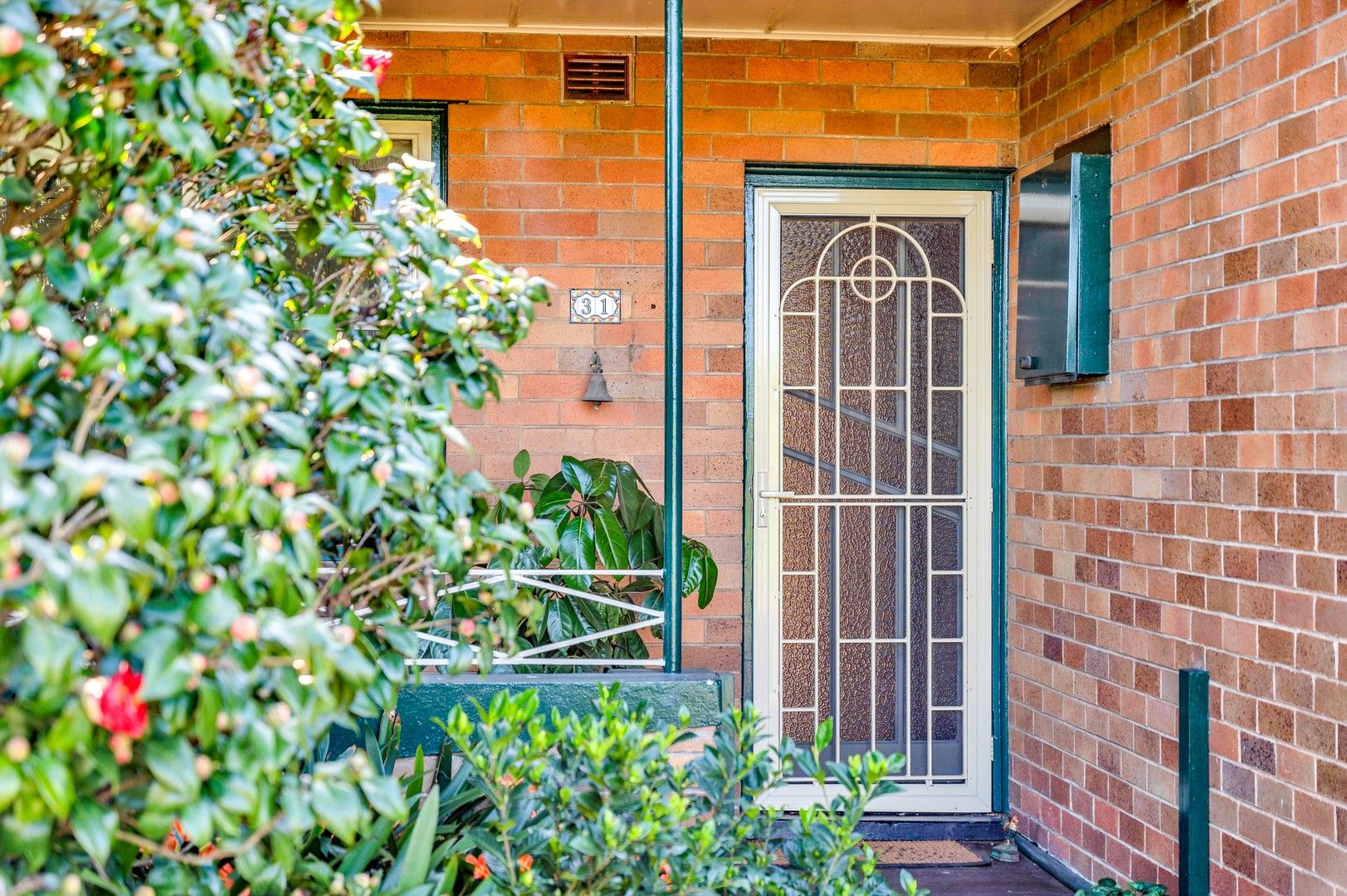31 Lorn Street, Lorn NSW 2320 Domain