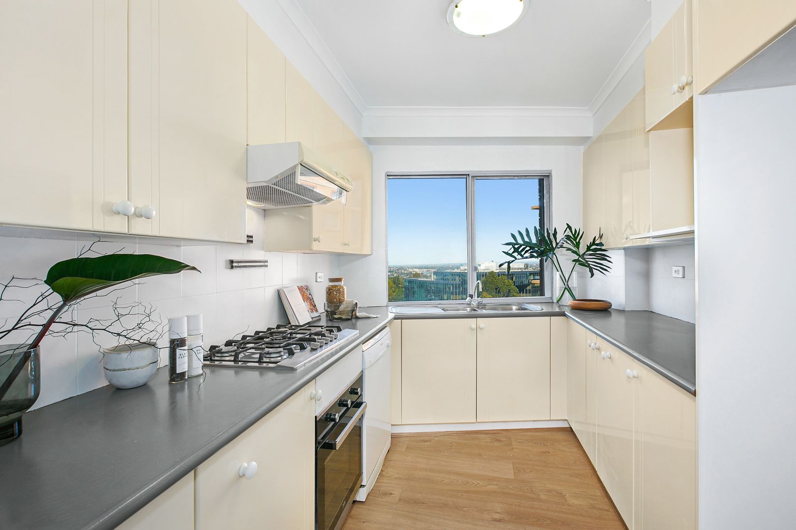 144/421 Pacific Highway, Artarmon NSW 2064, Image 2